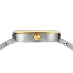 Classic | zilver/goud geborsteld | 17926-714