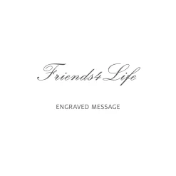 Sale | zilver gepolijst | Friends4Life-1
